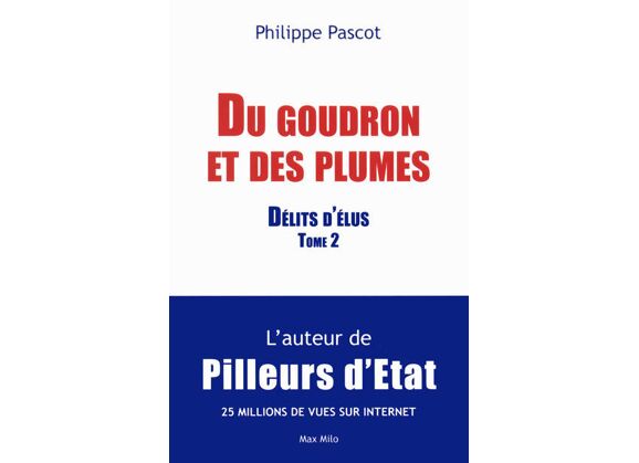 Image Du goudron et des plumes - délits d'élus t.2