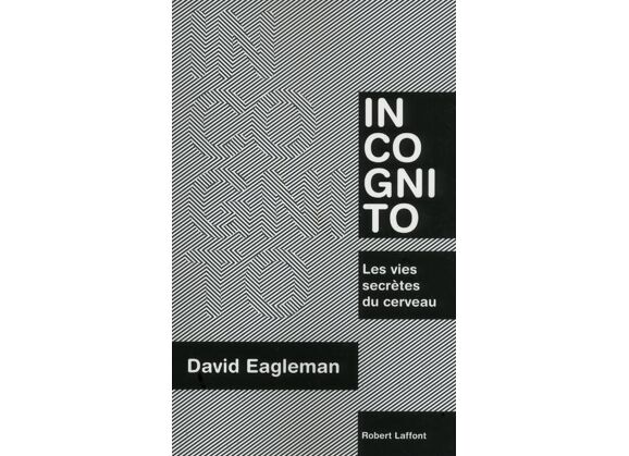 Image Incognito