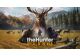 Jeux Vidéo The hunter call of the wild PlayStation 4 (PS4)