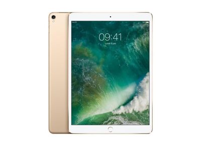 Tablette APPLE iPad Pro 1 (2015) Or 512 Go Wifi 12.9