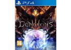 Jeux Vidéo Dungeons III PlayStation 4 (PS4)