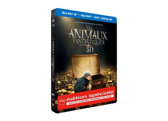 Image Blu-Ray Les Animaux Fantastiques