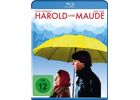 Blu-Ray  Harold & Maude