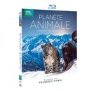 Blu-Ray  PlanÃšte Animale - Blu-Ray