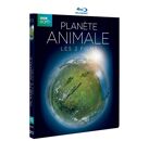 Blu-Ray  PlanÃšte Animale - Les 2 Films - Blu-Ray
