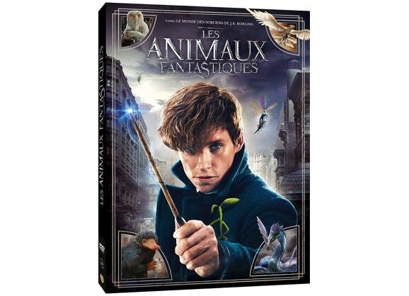 Image DVD Les Animaux Fantastiques DVD Zone 2