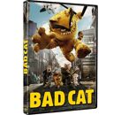 DVD  Bad Cat DVD Zone 2