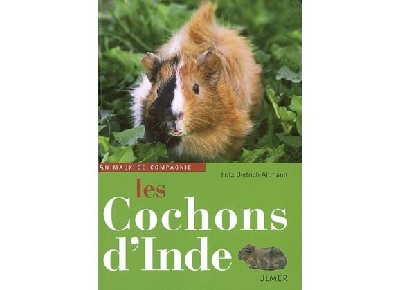 Image Les cochons d'inde