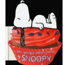 Mes recettes americaines by snoopy