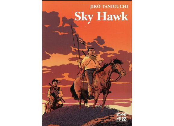 Image Sky Hawk