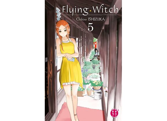 Image Flying Witch T05