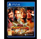 Jeux Vidéo Fire Pro Wrestling Pro PlayStation 4 (PS4)