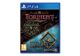 Jeux Vidéo Planescape Torment and Icewind Dale Enhanced Edition PlayStation 4 (PS4)