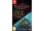 Jeux Vidéo Planescape Torment and Icewind Dale Enhanced Edition Switch