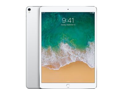 Tablette APPLE iPad Pro 1 (2017) Argent 256 Go Cellular 10.5