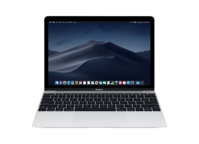 Ordinateurs portables APPLE MacBook A1534 M 8 Go RAM 250 Go SSD 12