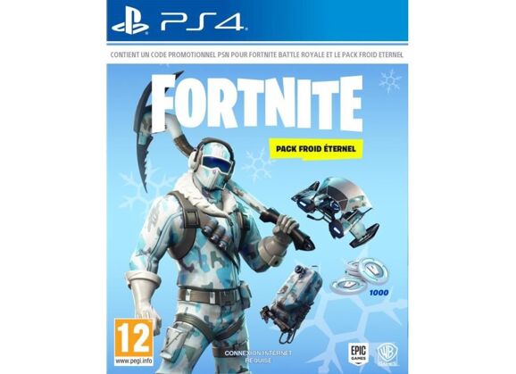 Image Jeux Vidéo Fortnite Pack Froid Eternel PlayStation 4 (PS4)