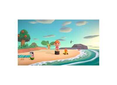 Image Jeux Vidéo Animal Crossing New Horizons Switch
