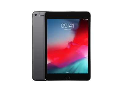 Tablette APPLE iPad Mini 5 (2019) Gris Sidéral 64 Go Cellular 7.9