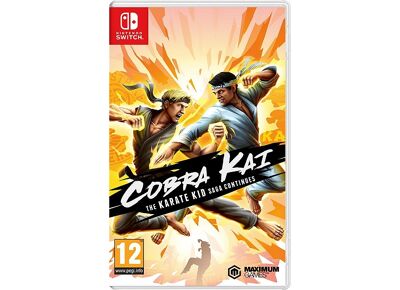 Jeux Vidéo Cobra Kai The Karate Kid Saga Continues Switch