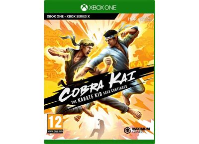 Image Jeux Vidéo Cobra Kai The Karate Kid Saga Continues Xbox One