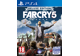 Jeux Vidéo Far Cry 5 Edition Deluxe PlayStation 4 (PS4)