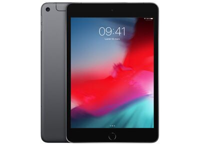 Tablette APPLE iPad Mini 5 (2019) Gris Sidéral 256 Go Cellular 7.9