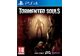 Jeux Vidéo Tormented Souls PlayStation 4 (PS4)
