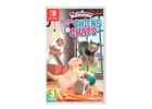 Jeux Vidéo My Universe My Baby Chiens & Chats Switch
