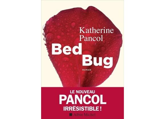 Image Bed Bug