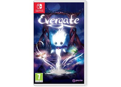 Jeux Vidéo Evergate Switch