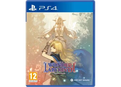 Image Jeux Vidéo Record of Lodoss War Deedlit in Wonder Labyrinth (PS4) PlayStation 4 (PS4)