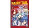 Fairy Tail City Hero Tome 2