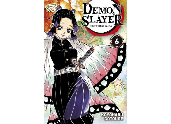 Image Demon Slayer Tome 6