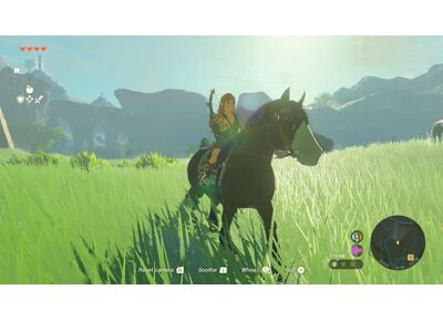 Image Jeux Vidéo The Legend of Zelda Tears of The Kingdom Switch