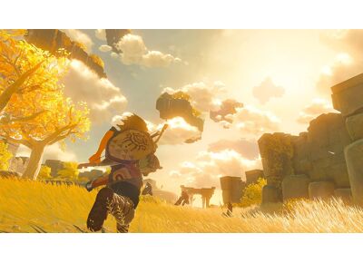 Image Jeux Vidéo The Legend of Zelda Tears of The Kingdom Switch