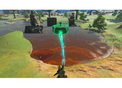 Image Jeux Vidéo The Legend of Zelda Tears of The Kingdom Switch