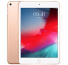 Image Tablette APPLE iPad Mini 5 (2019) Or 256 Go Wifi 7.9