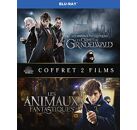 Blu-Ray BLU-RAY Coffret Animaux Fantastiques 1 & 2