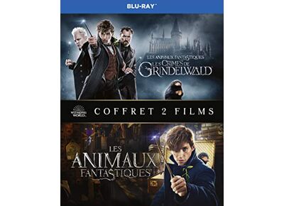 Blu-Ray BLU-RAY Coffret Animaux Fantastiques 1 & 2