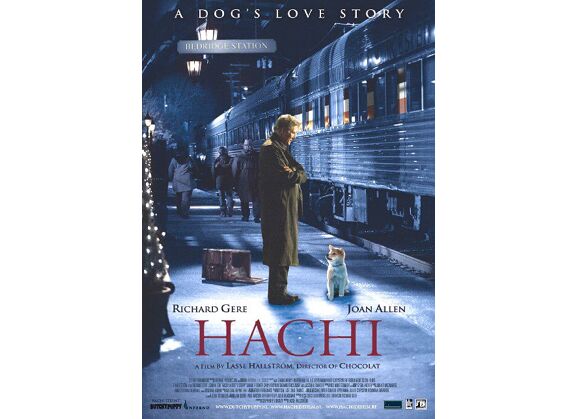 Image DVD DVD VIDEO Hachi DVD Zone 2