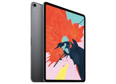 Image Tablette APPLE iPad Pro 1 (2018) Gris Sidéral 512 Go Wifi 11