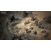 Image Jeux Vidéo Diablo IV (XBOX SERIES) Xbox Series X
