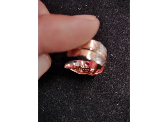 Image Bague Penna Métal