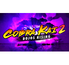 Jeux Vidéo Cobra Kai 2 Dojos Rising Switch Switch