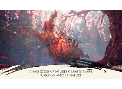 Image Jeux Vidéo Wild Hearts Xbox Series X