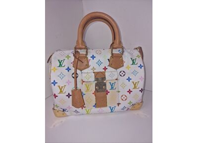 Image Sac à main LOUIS VUITTON Speedy 30 Porté main Toile enduite Multicolore