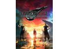 Jeux Vidéo Final Fantasy VII Rebirth PlayStation 5 (PS5)