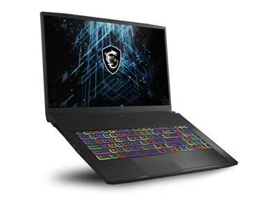 Image Ordinateurs portables MSI GF75 Thin 10UEK i7 32 Go RAM 500 Go HDD 128 Go SSD 17.3