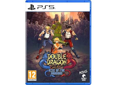 Image Jeux Vidéo Double Dragon Gaiden - Rise of the Dragons PlayStation 5 (PS5)